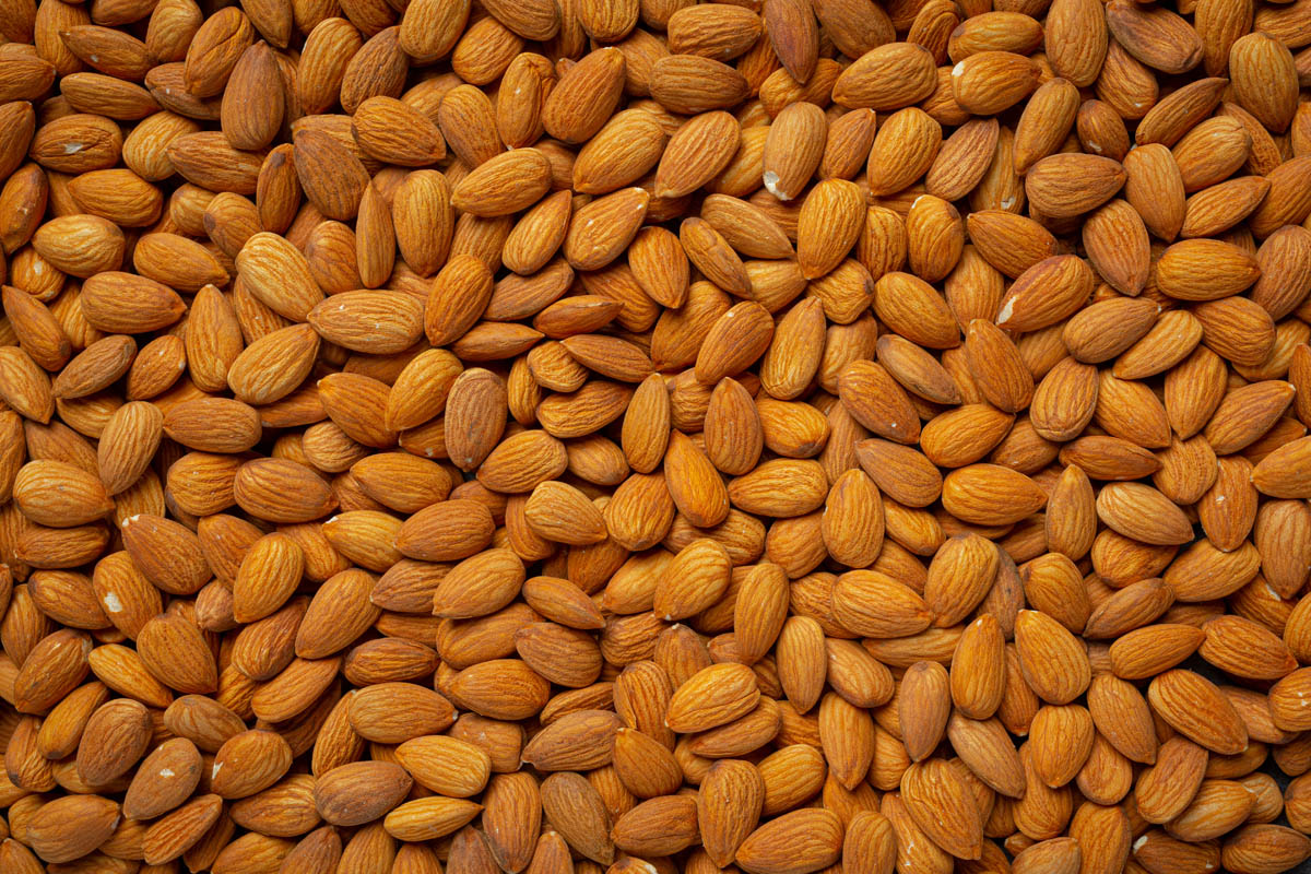 मधेसी बदाम खेती ( badam / almont cultivation ) 